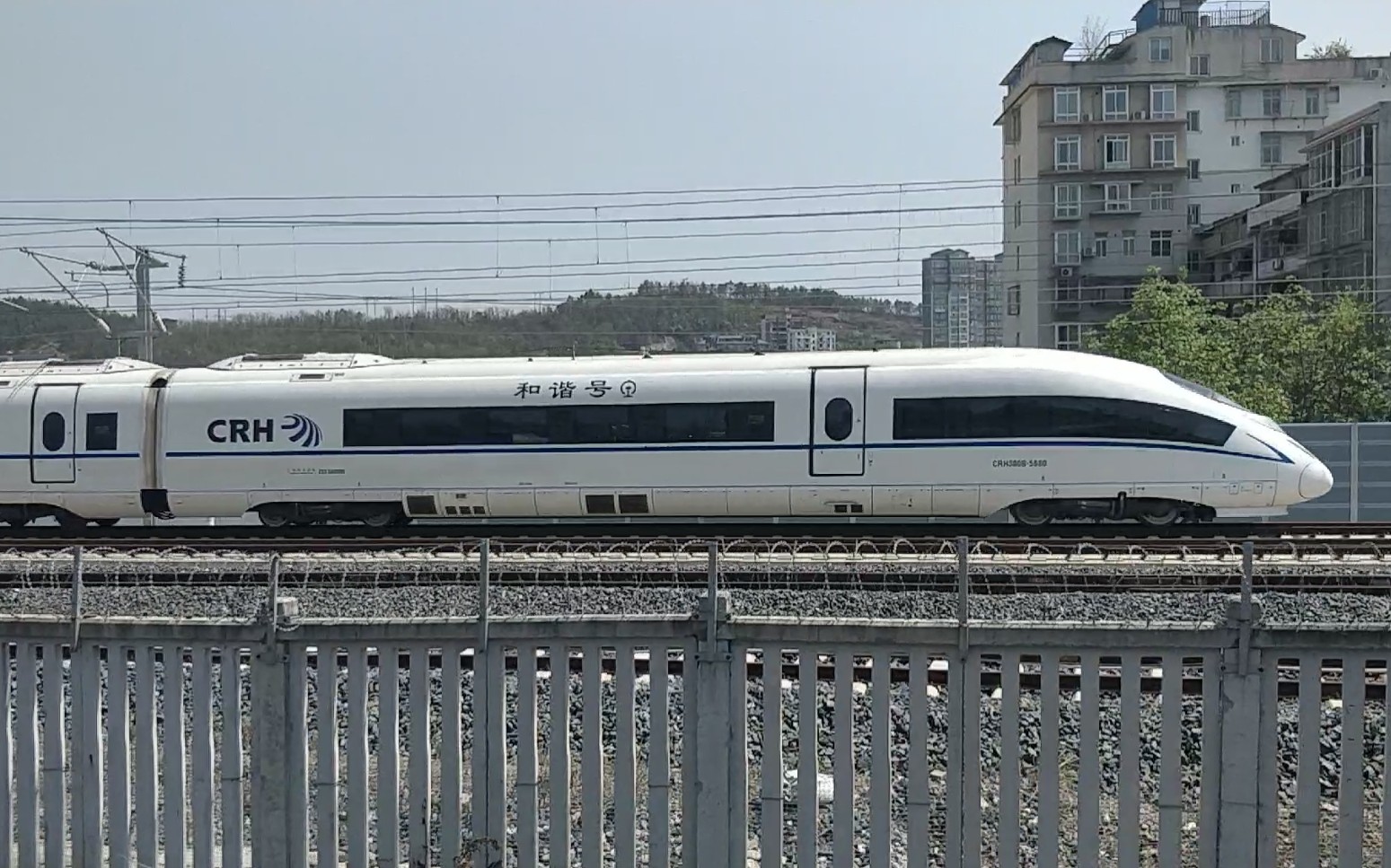 【铁路随拍】 西成客专的crh380b 广元站随拍_哔哩哔哩 (゜-゜)つロ