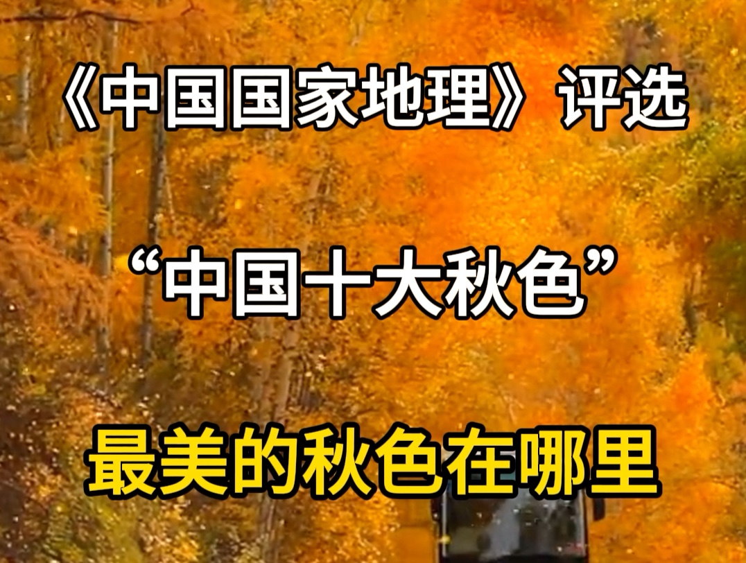 中国国家地理评选,中国十大秋色,你觉得最美的秋色在哪里?中国最美秋景.#旅行大玩家 #旅行推荐官 #旅游攻略 #属于秋天的颜色 #深秋时节的诗情画意...