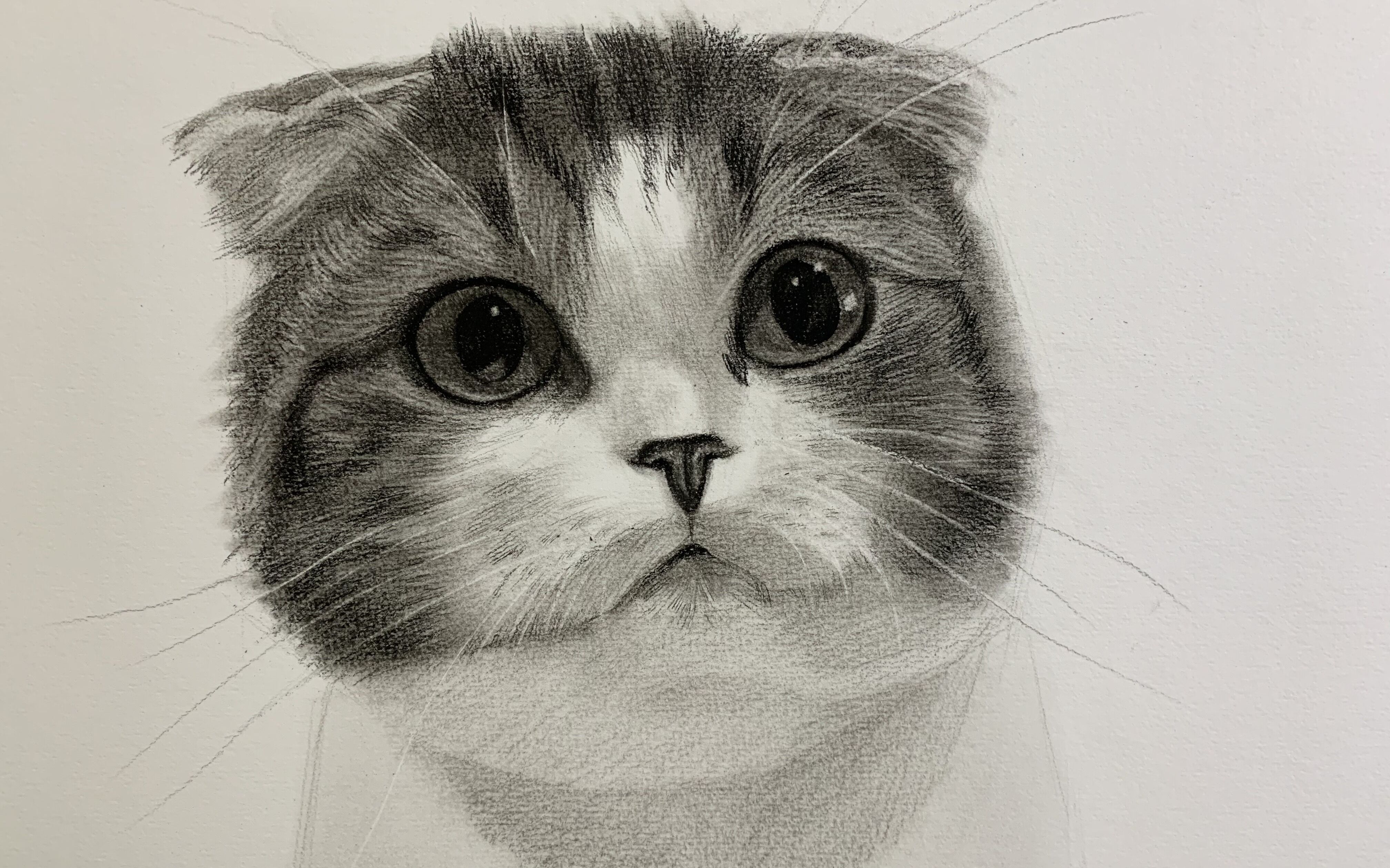 大眼睛花猫素描教程一个,请注意查收~【持续更】