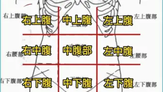 一张图告诉你 肚子疼是哪里出现了问题