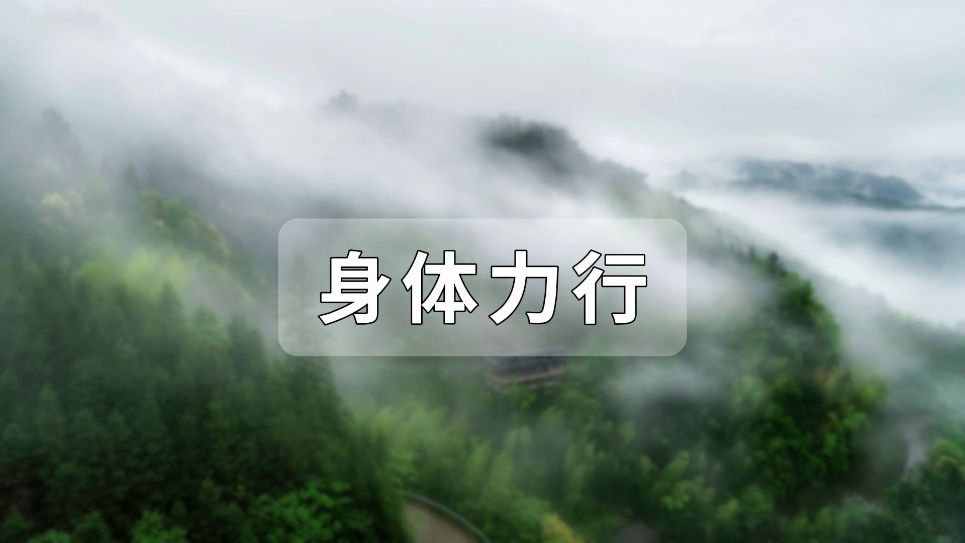 身体力行:将理念转化为行动的力量