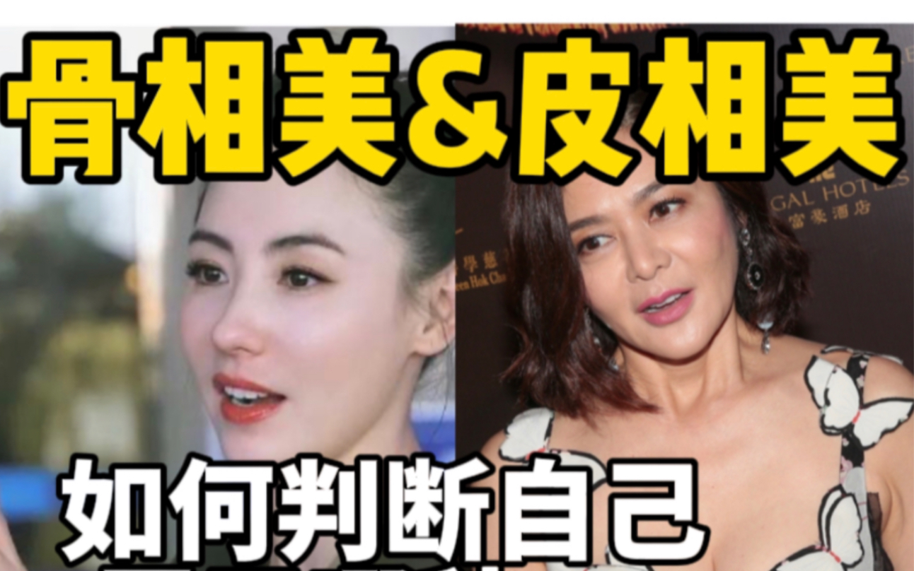 如何判断自己属于哪一种?骨相vs皮相哔哩哔哩bilibili