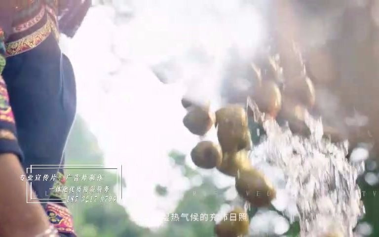 电视央视tvc广告农产品广告宣传片制作哔哩哔哩bilibili