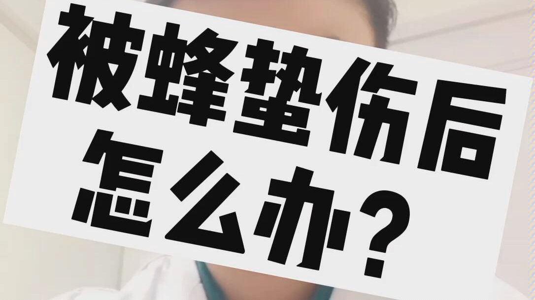 被蜂蛰伤后怎么办?哔哩哔哩bilibili