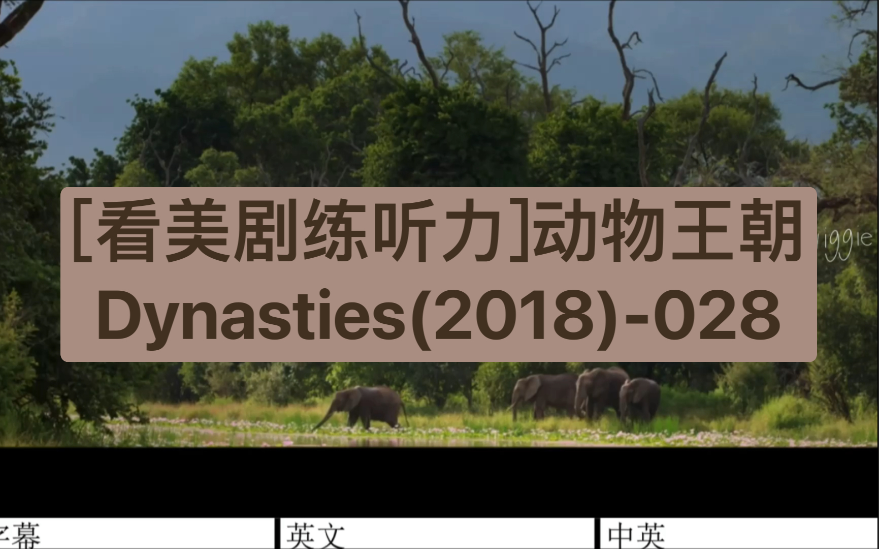 [图][看美剧练听力]动物王朝Dynasties(2018)-028