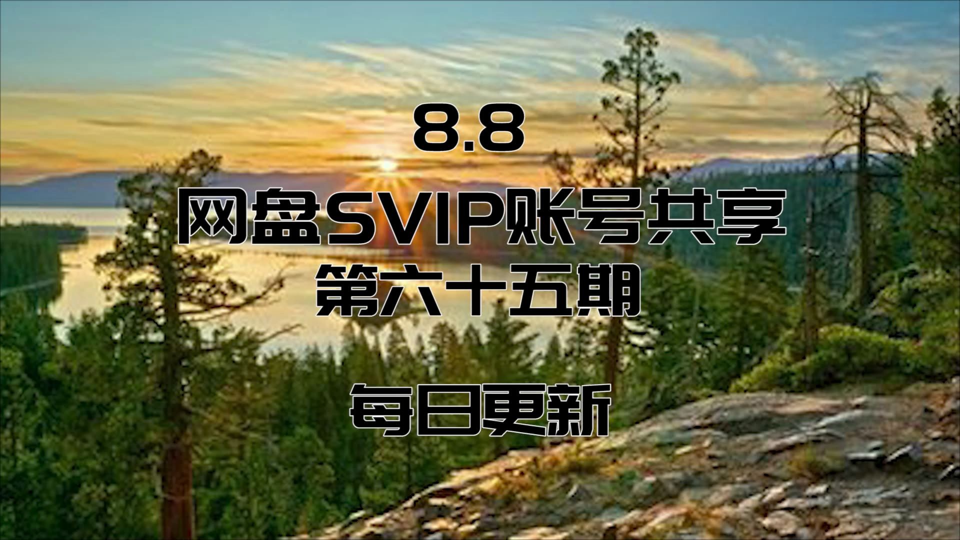 8.8【SVIP】网盘SVIP账号共享 每日更新哔哩哔哩bilibili