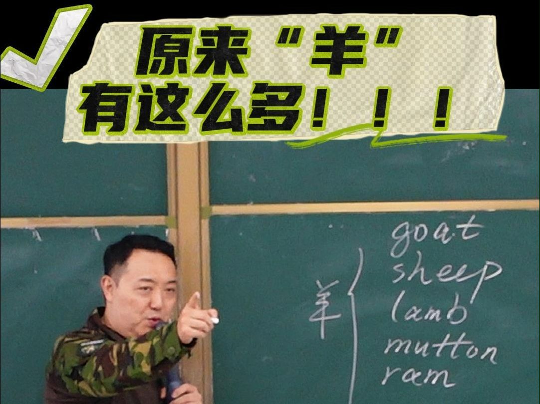 一个视频学会“抓”各种“羊”哔哩哔哩bilibili