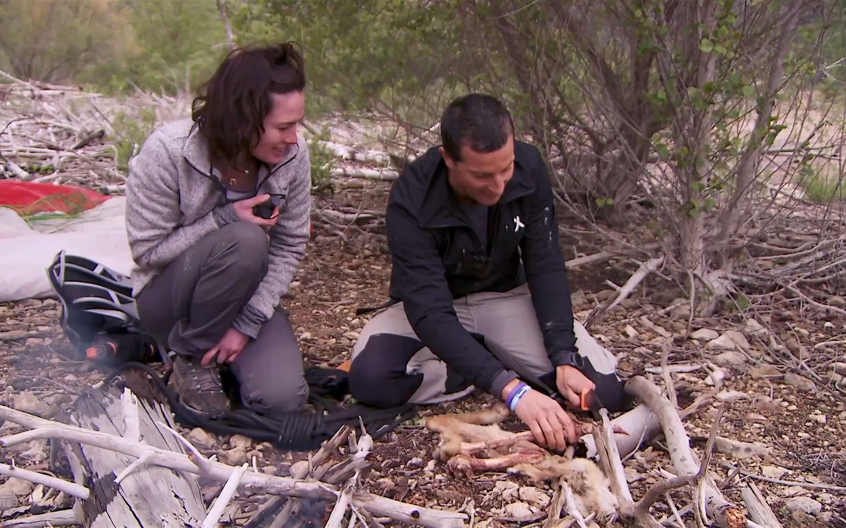 贝爷伊比利亚岛荒野求生,炭烤羊骨髓,抓拿肥美狼蛛,搭建木筏