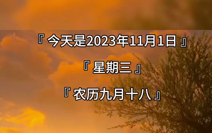 [图]今天是2023年11月1日星期三农历九月十八早上好