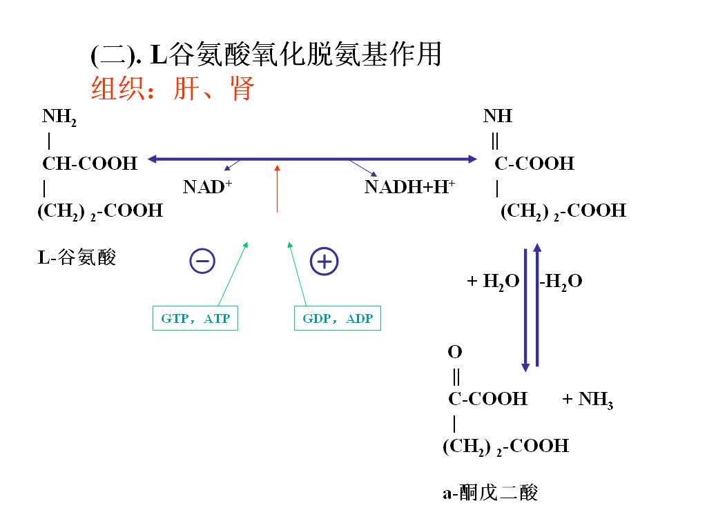 《生物化学》36讲全西安交通大学于杰主讲哔哩哔哩bilibili