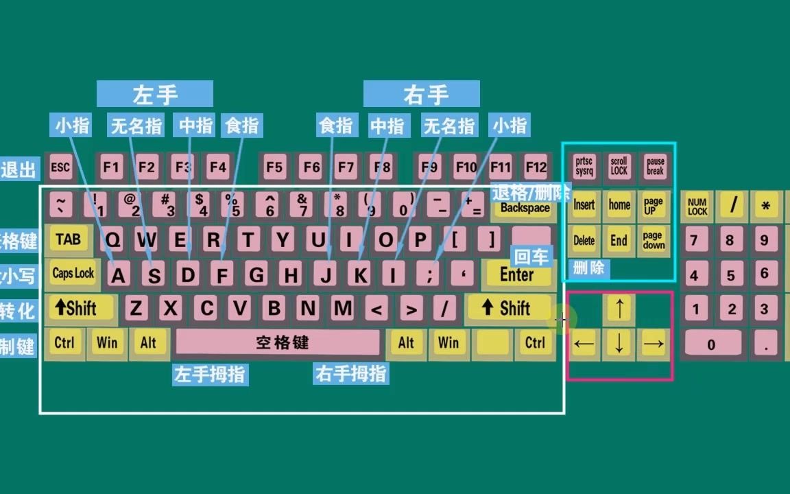 零基础学电脑打字,快速学会键盘打字,适合初学者学习哔哩哔哩bilibili