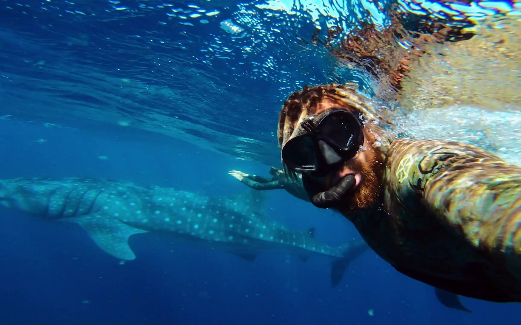 GoPro 和 PADI 联合举办“水下自拍日”哔哩哔哩bilibili