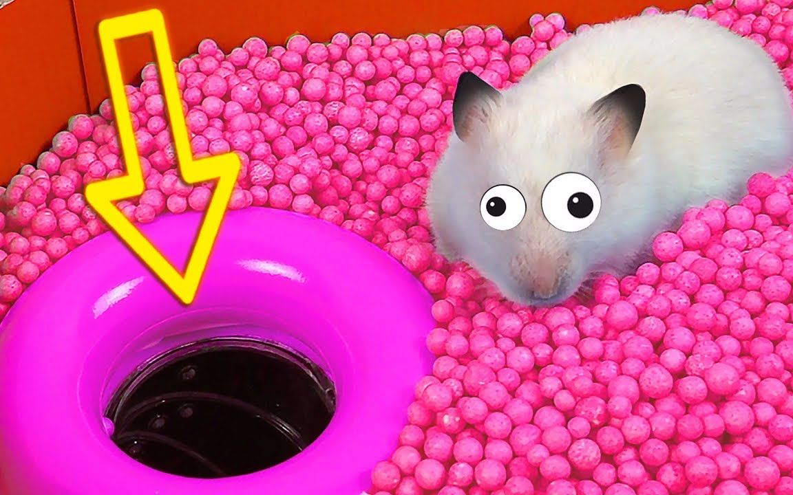 仓鼠历险记:小仓鼠来闯迷宫了,鲨鱼一直追着他跑,太搞笑啦!