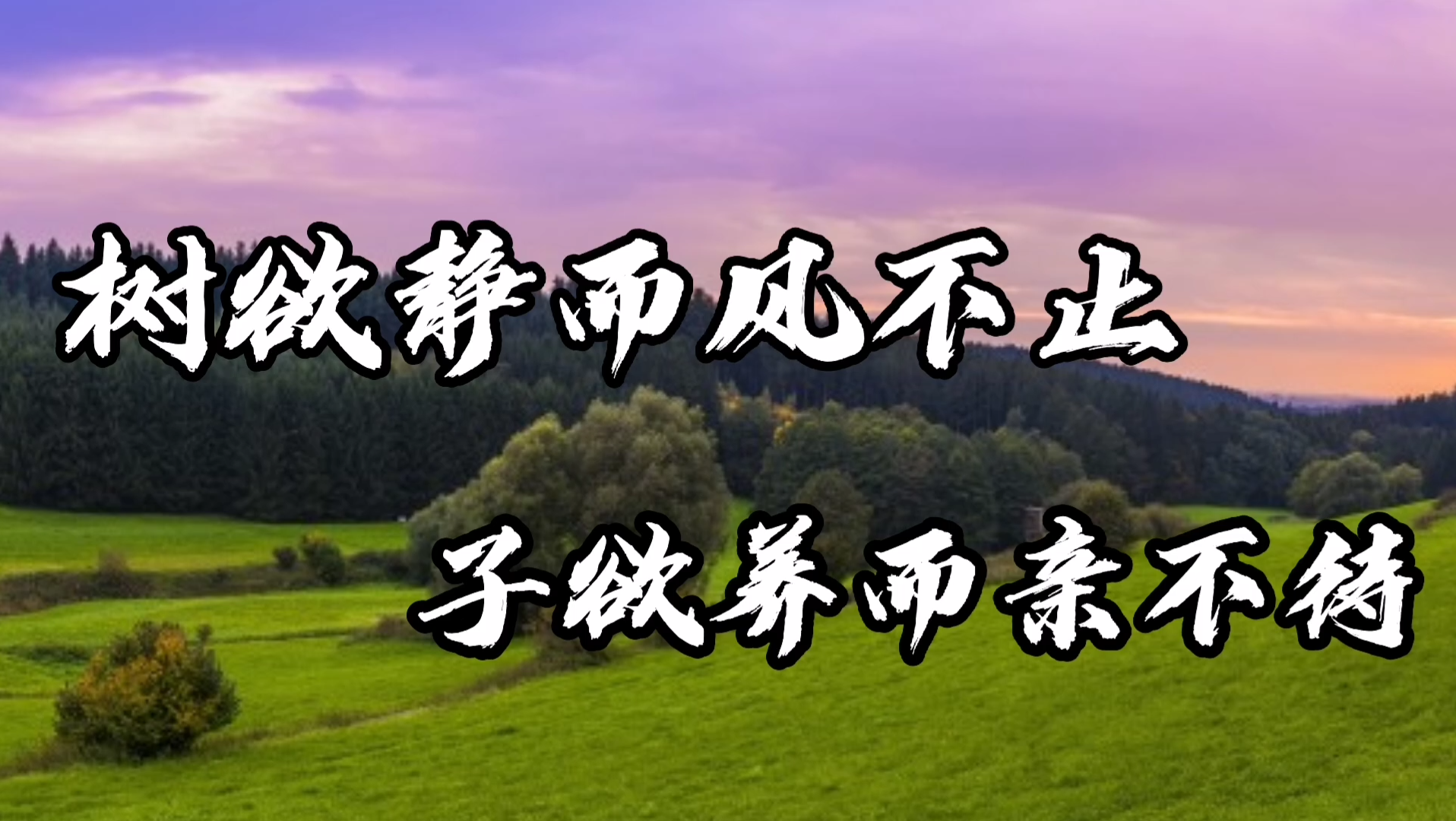 你知道树欲静而风不止,子欲养而亲不待这句话是谁说的吗