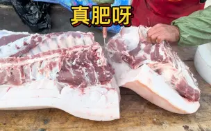 Download Video: 今天老孟这猪肉超级肥，膘子两巴掌厚，大早上立福买了500块钱的