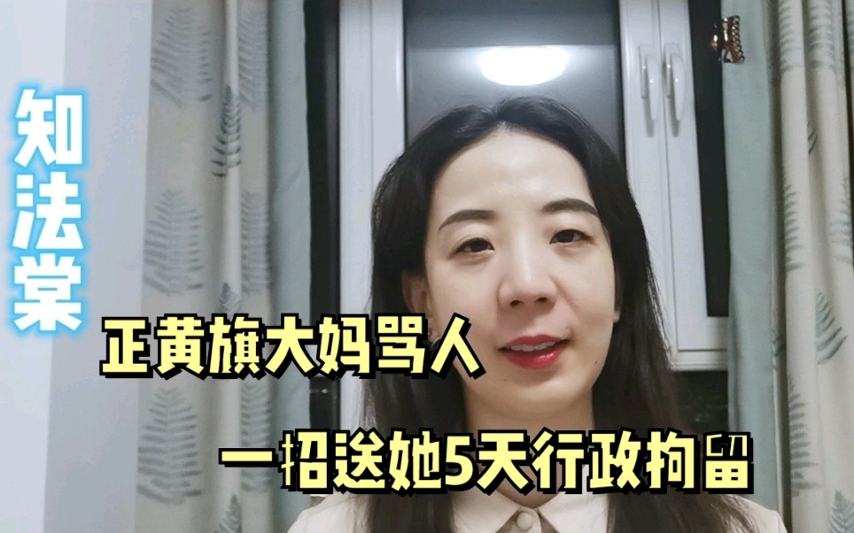 正黄旗大妈骂人一招送她5天行政拘留