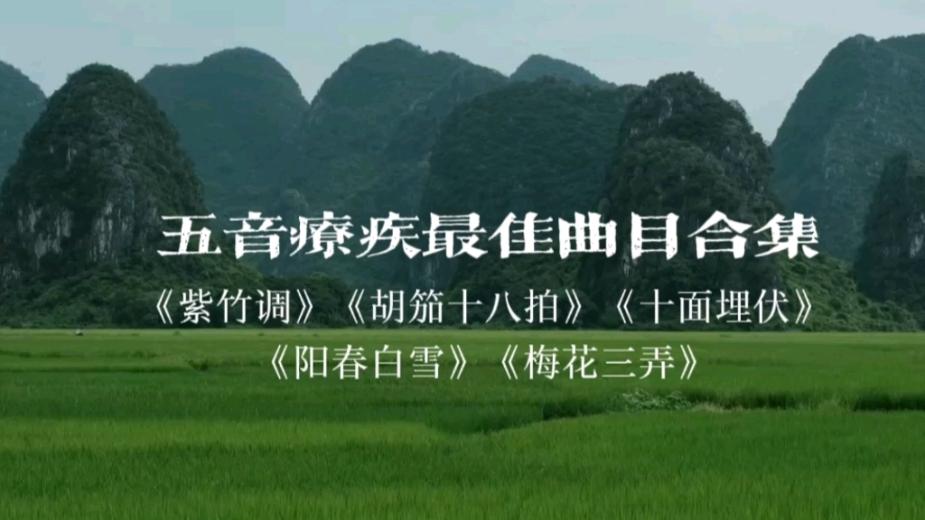 『五音疗疾最佳曲目合集』每天听一遍给五脏做梳理,音疗听它就够啦,快快收藏吧!哔哩哔哩bilibili