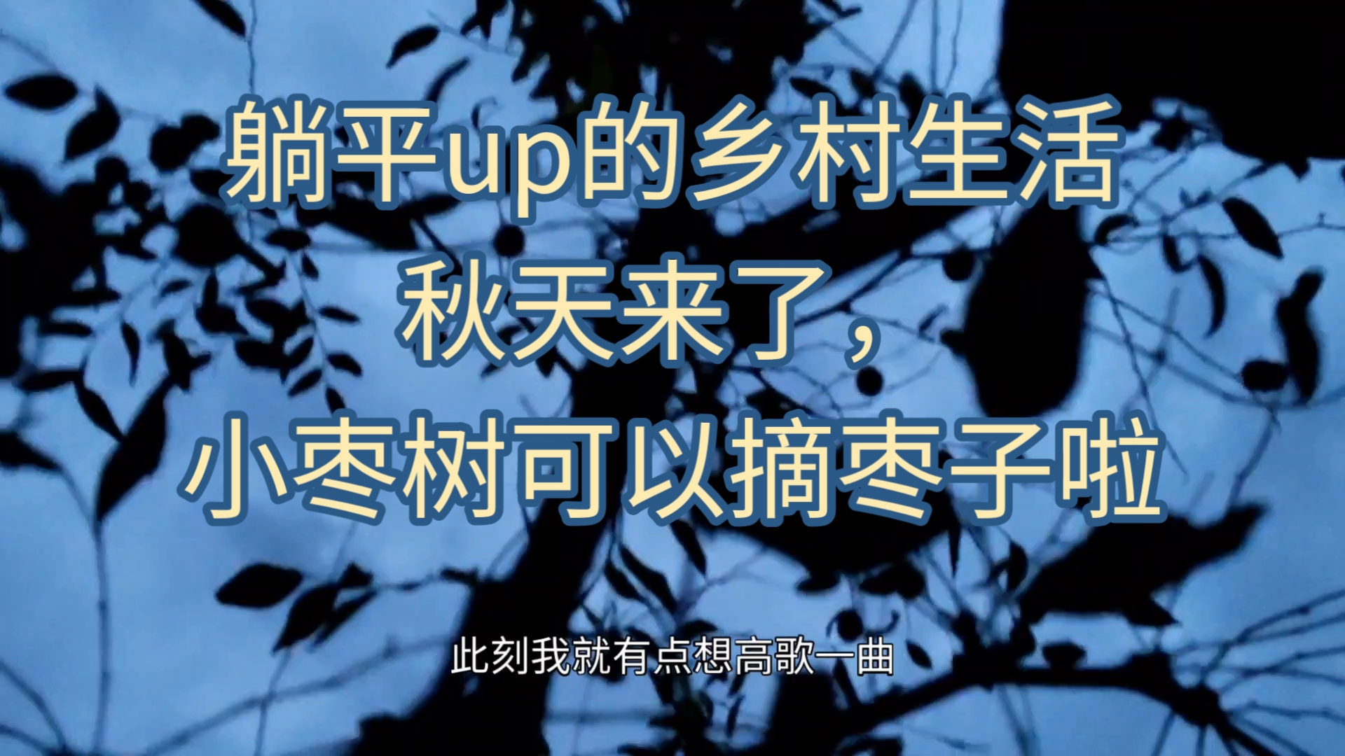 我妈妈说,她有一天晚上.摘了半桶枣子.第二天摆摊卖了60块钱.哎呀我感觉好棒哦.等我老了.以后我也可以摘去卖.养活自己不成问题.哔哩哔哩...