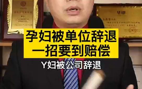 孕妇被单位辞退一招要到赔偿哔哩哔哩bilibili