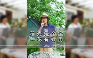 Download Video: 稻壳是个宝，种花有妙用