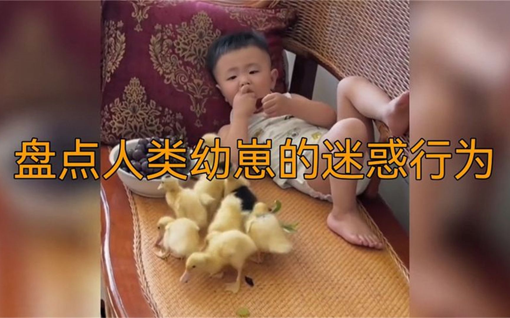 [图]盘点人类幼崽的迷惑行为；不要怀疑，全部都是亲生的；