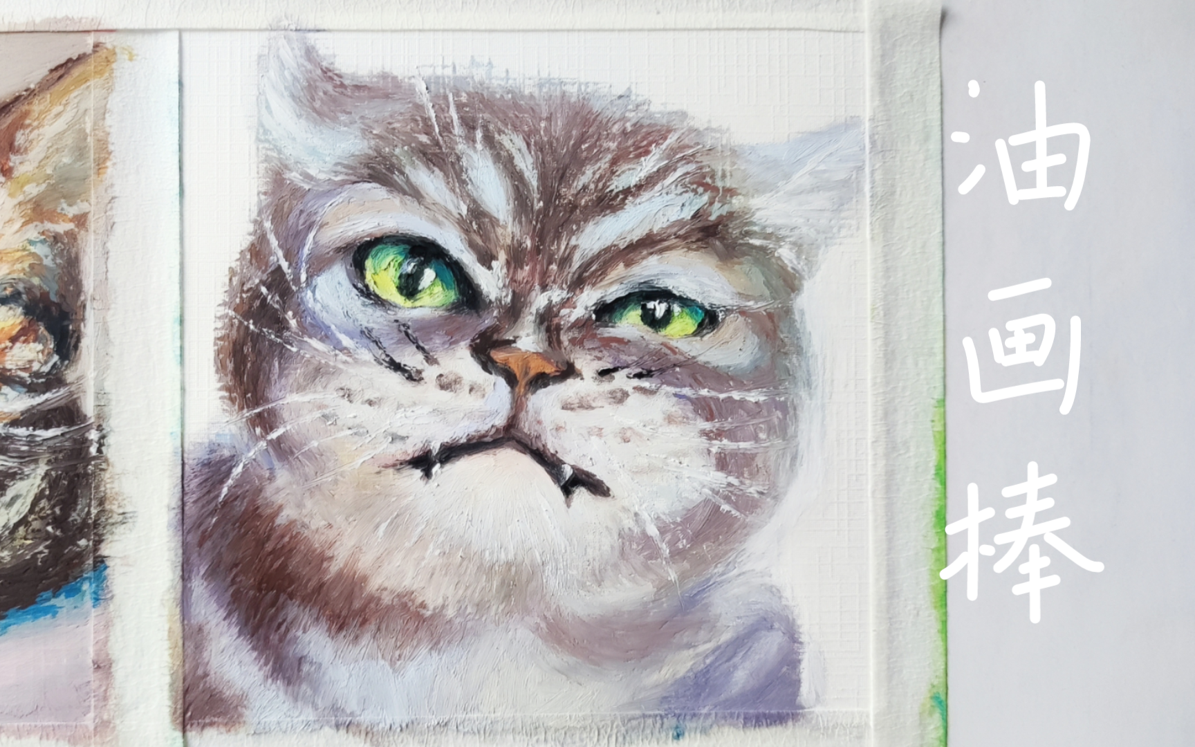 银渐层小猫咪–油画棒绘制过程