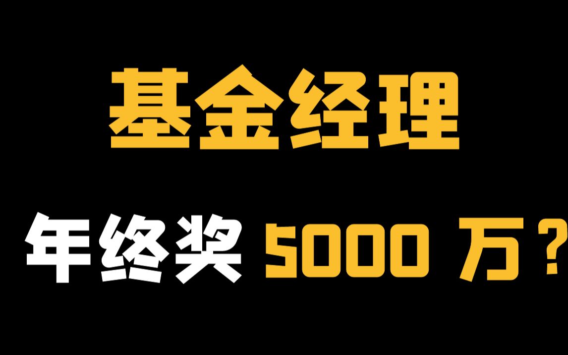 【深度对话】量化投资 基金经理 by研究员雷牛牛哔哩哔哩bilibili