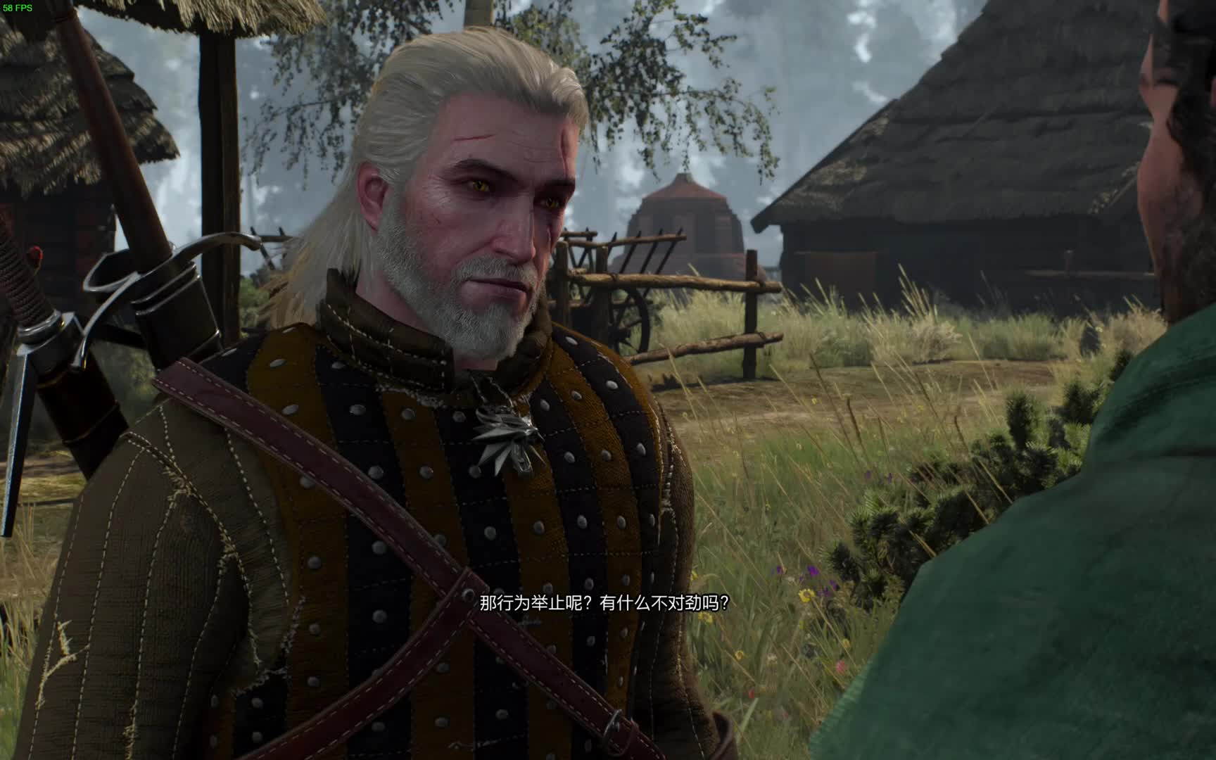 巫师三个人向流程体验 威伦【我心狂野】