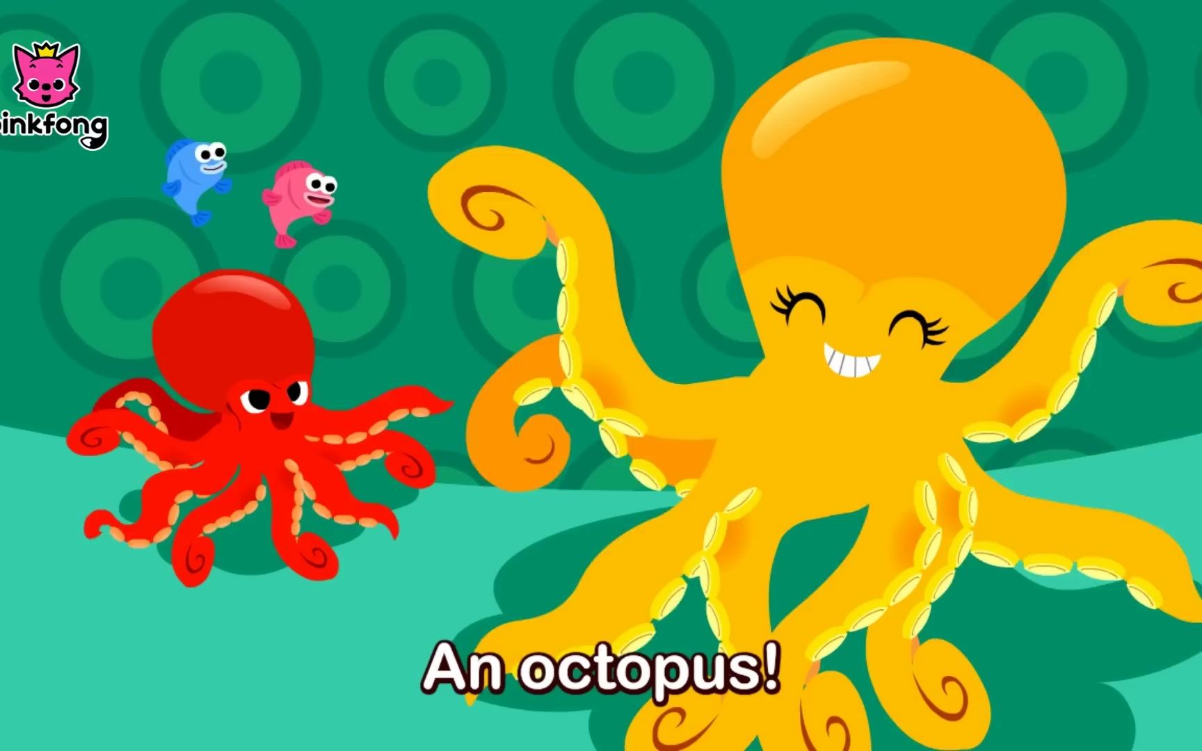 [图]Ooh La la, Octopus·