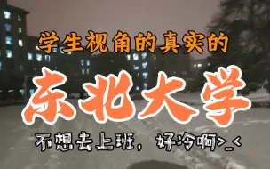 Download Video: 学生视角的真实的东北大学，很冷？拉裤？环境不优美？