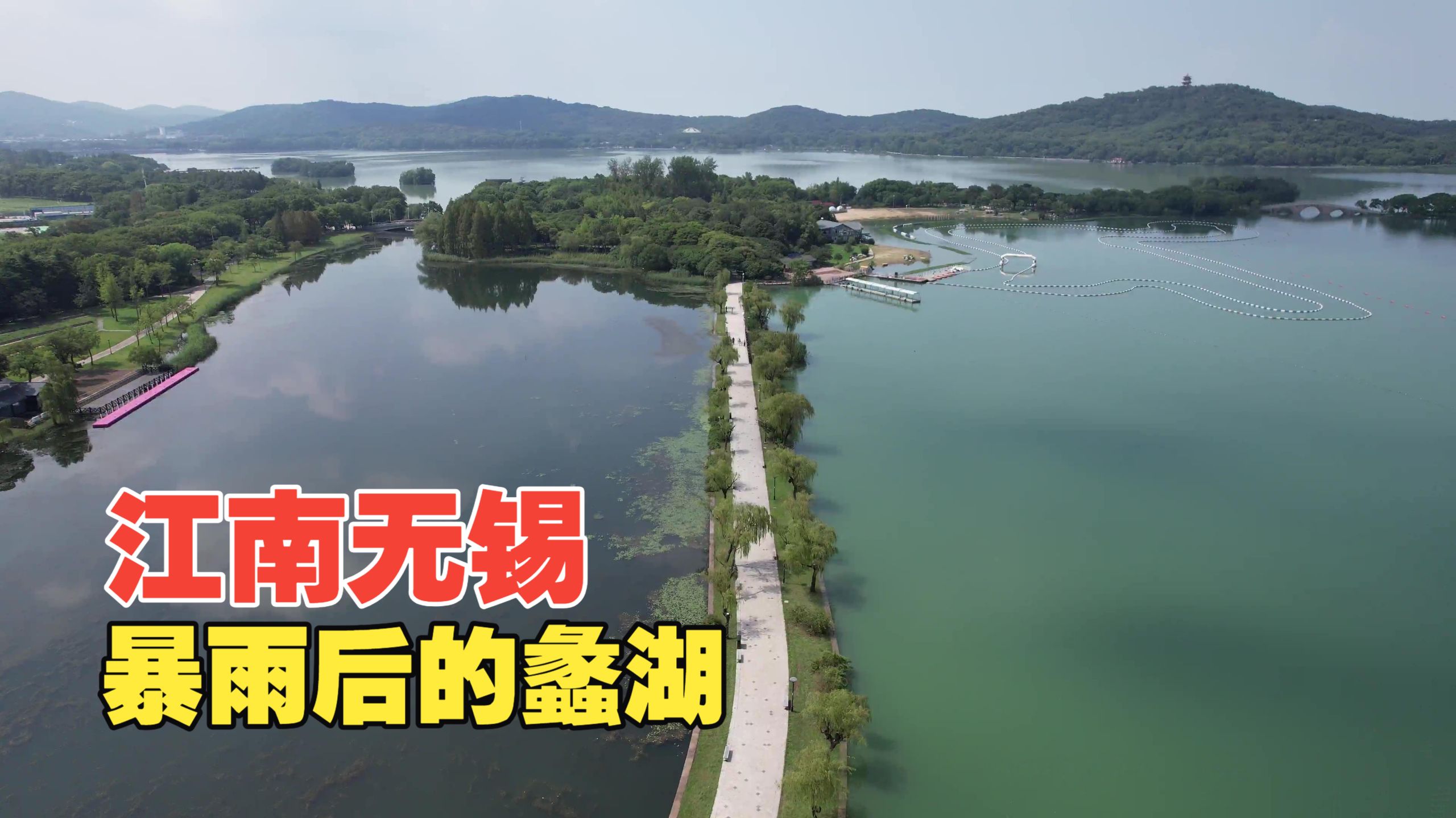暴雨后的无锡蠡湖，鱼在路上游水蓝得像海，正常吗？
