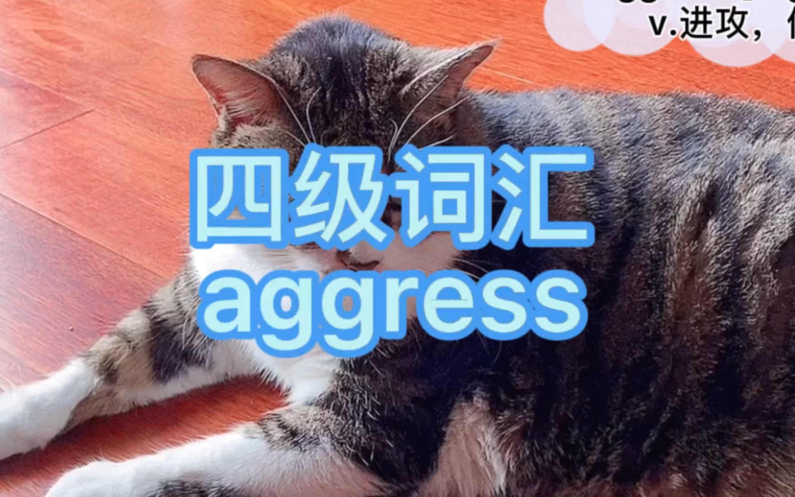 四级词汇agress,aggressive哔哩哔哩bilibili