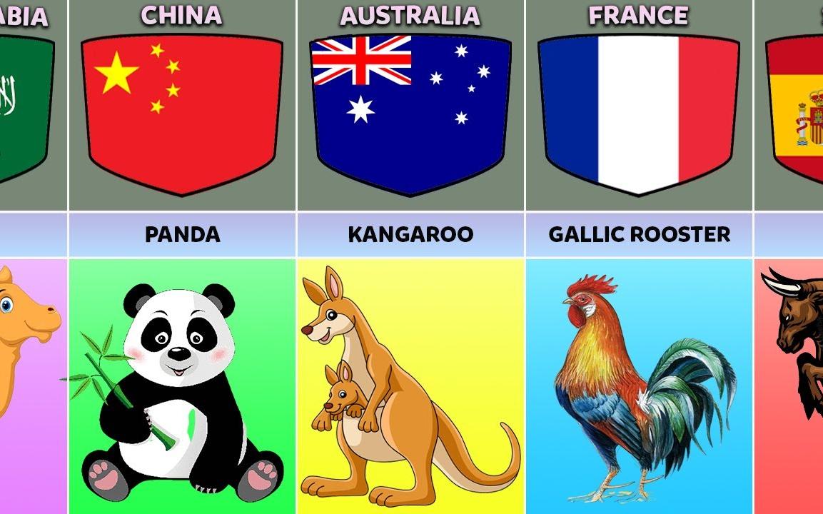 各国动物形象代表图图片