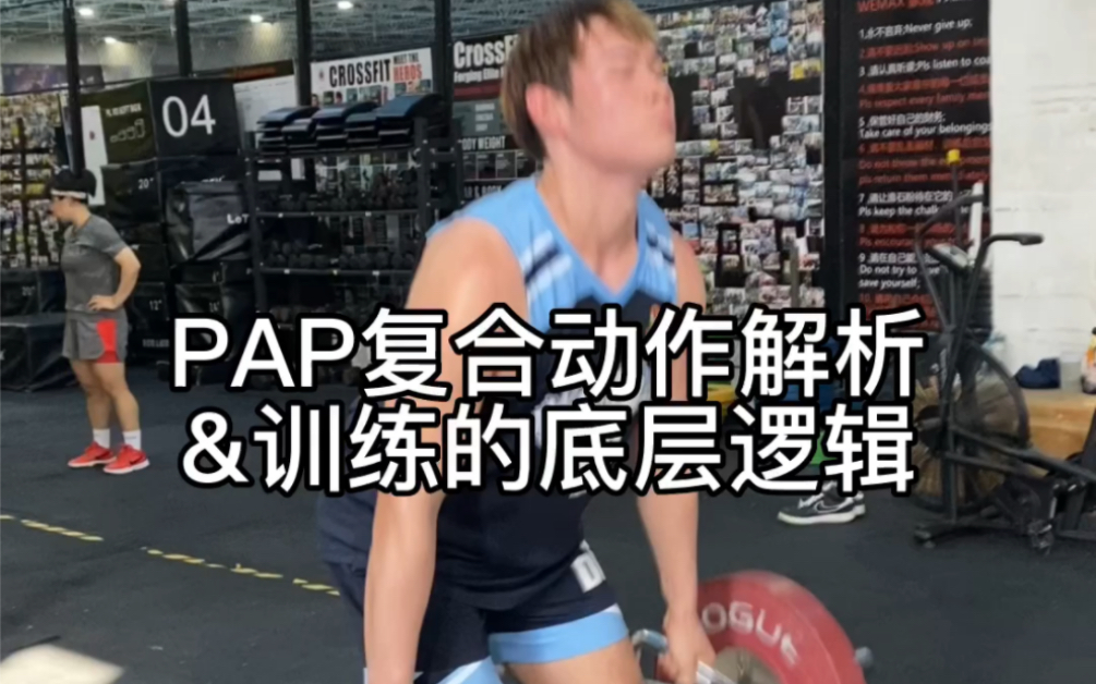 【袋鼠计划】PAP动作解析&体能训练的底层逻辑哔哩哔哩bilibili