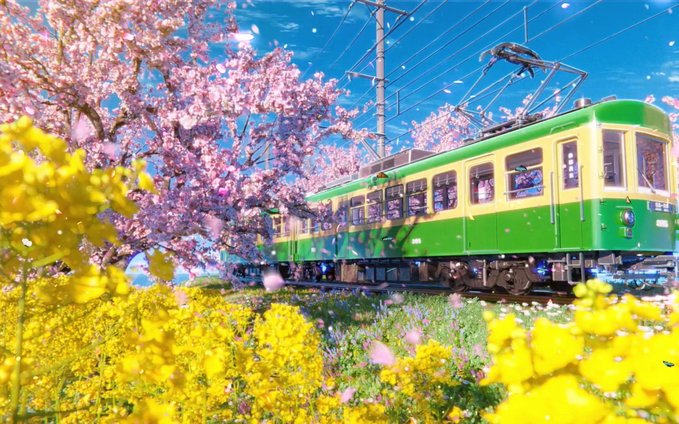 潮满列车樱花动漫图片