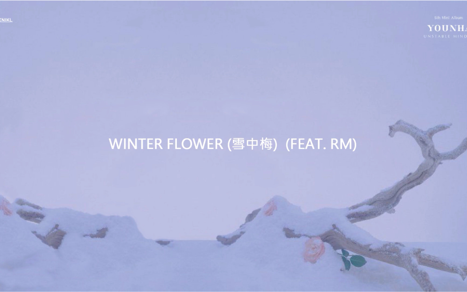 [图]WINTER FLOWER (雪中梅）Younha（FEAT.RM）