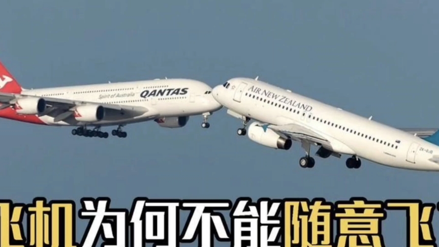 飞机表情包第七期