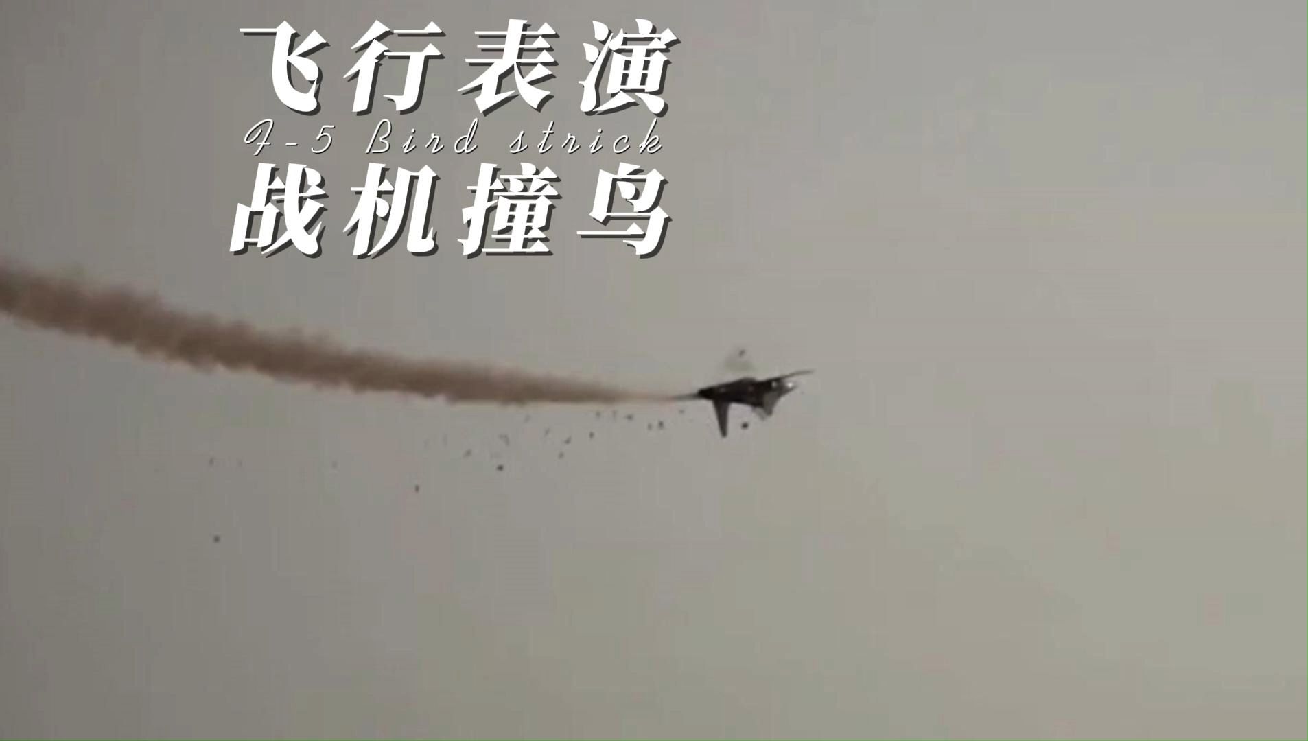 飞机表演战机撞鸟