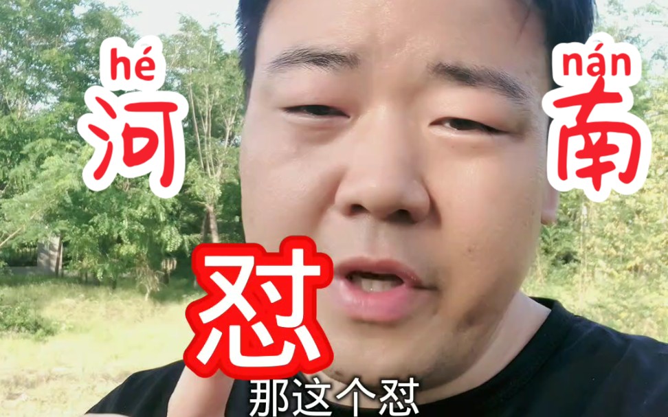 河南方言中的"怼"字!怼!