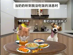 Descargar video: 当奶奶听到我没吃饭的消息时