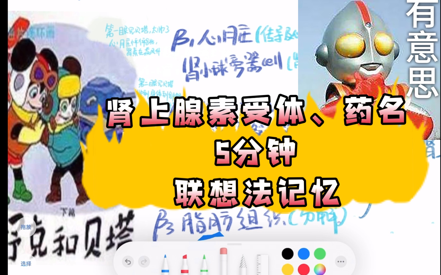 【药理学】速记!!肾上腺素受体 激动药 拮抗药→作用哔哩哔哩bilibili