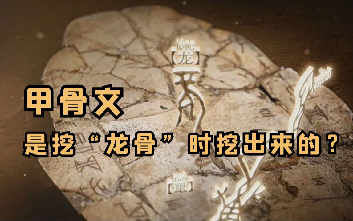 甲骨文是挖“龙骨”时挖出来的?哔哩哔哩bilibili