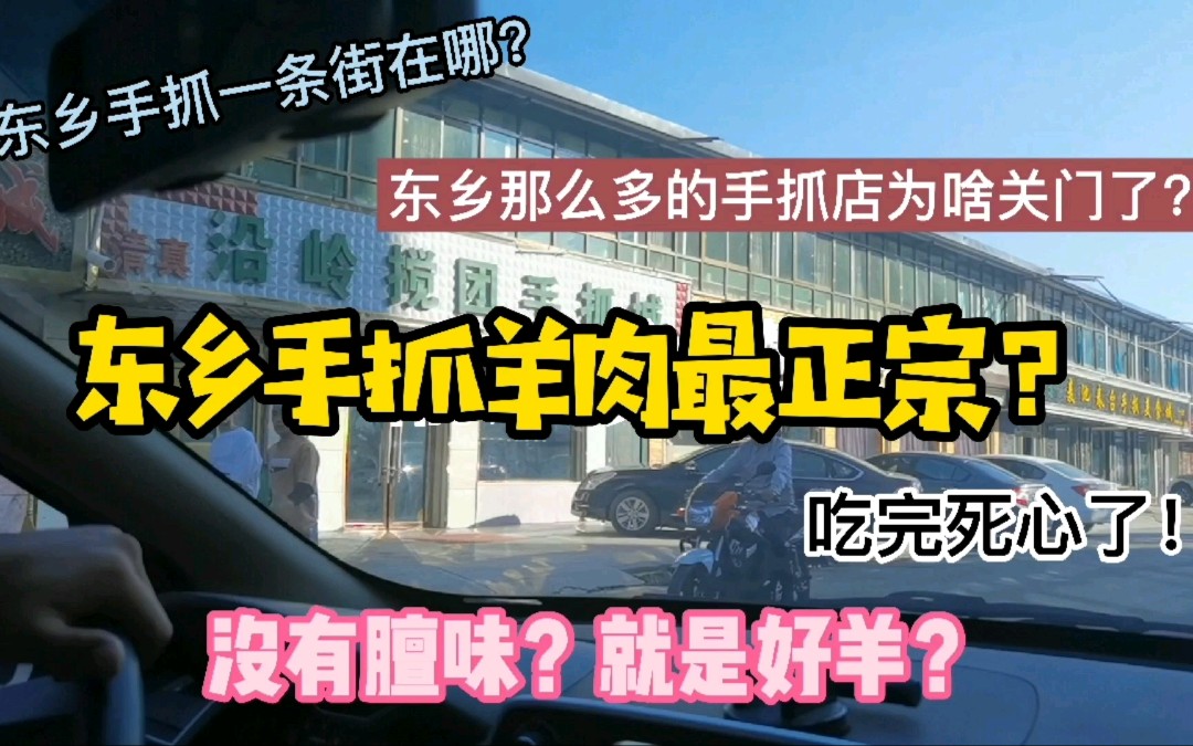 东乡手抓最正宗?味道到底怎么样?78一斤,吃完把心伤下了哔哩哔哩bilibili