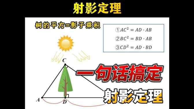困扰很多小伙伴的射影定理，这次真的一句话搞定！年前最后一更，年后见！新年快乐