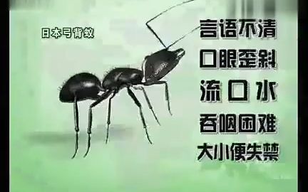 【中国大陆药品广告】蚁黄通络胶囊哔哩哔哩bilibili