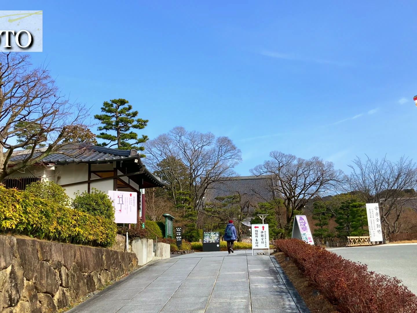 【超清日本】【京都】【4K】2024 京都 智积院寺哔哩哔哩bilibili