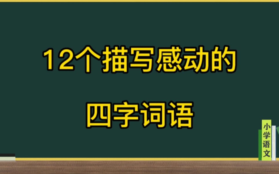 描写感动的四字词语小学语文积累哔哩哔哩bilibili