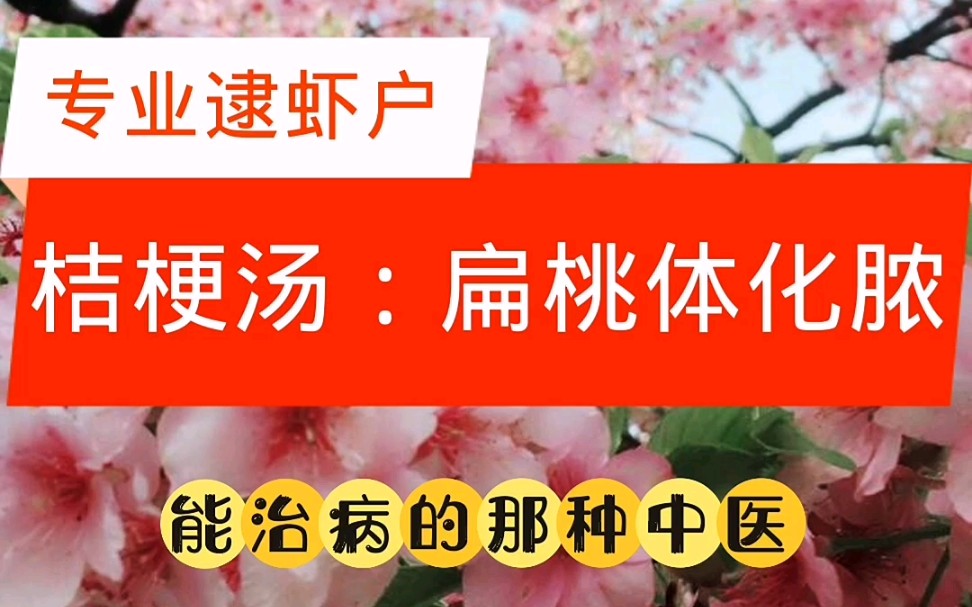 《伤寒论》桔梗汤:扁桃体化脓怎么治?首发:吴剑波 公众号.哔哩哔哩bilibili