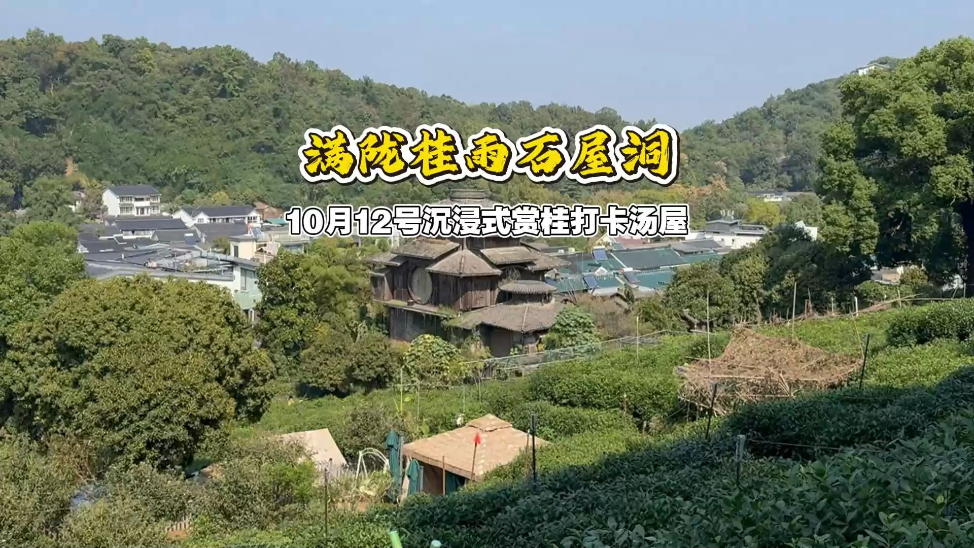 最近杭州满城桂花香，今天带你们去打卡满陇桂雨石屋洞，10月12号工作日去人居然这么多，这一片还有市集摆摊很热闹，桂花基本上开了七八成，你们