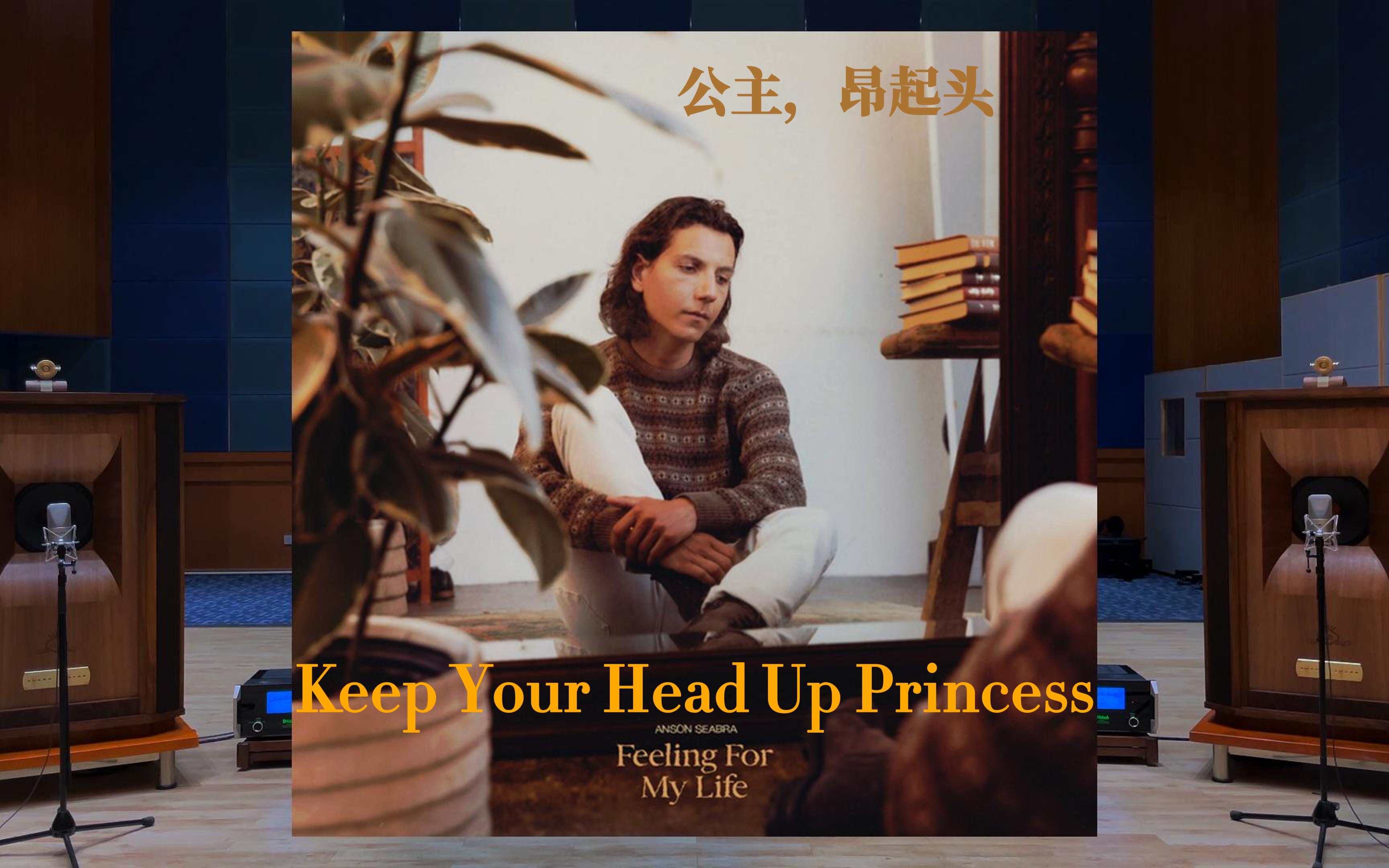 [图]公主，昂起头，皇冠会掉 Keep Your Head Up Princess - Anson Seabra【Hi-Res】